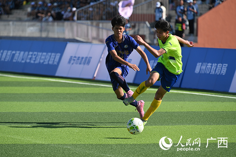 yid, tenan, msn yid, tenan, msn