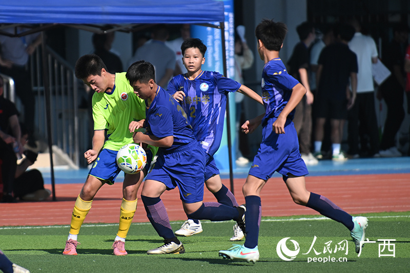 msn, 人民网 msn, 人民网